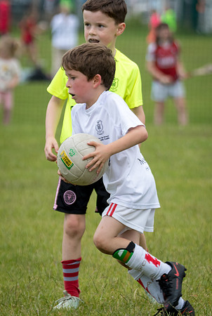 272-20250621-Cuala-MAI-©-2025-John-Coveney