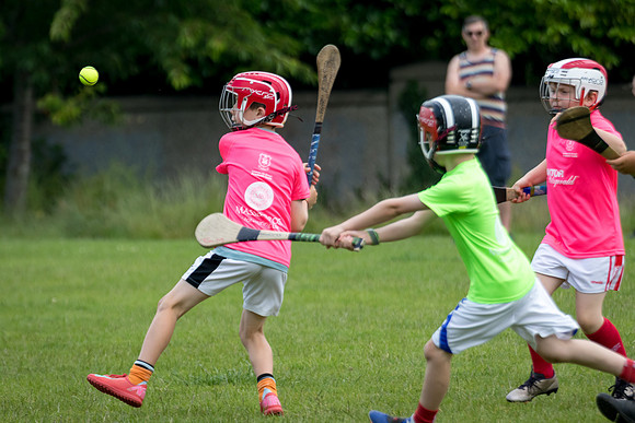 297-20250621-Cuala-MAI-©-2025-John-Coveney