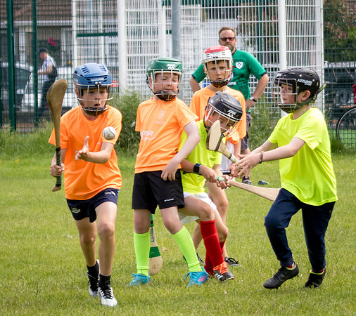 323-20250621-Cuala-MAI-©-2025-John-Coveney