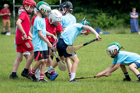 341-20250621-Cuala-MAI-©-2025-John-Coveney