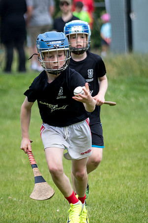 351-20250621-Cuala-MAI-©-2025-John-Coveney