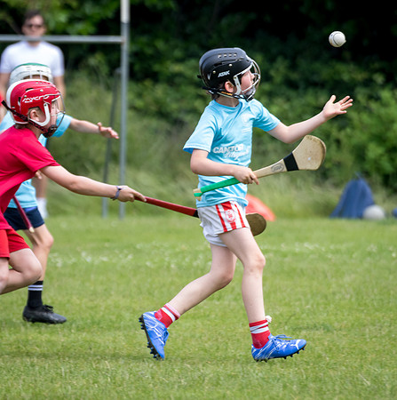 364-20250621-Cuala-MAI-©-2025-John-Coveney