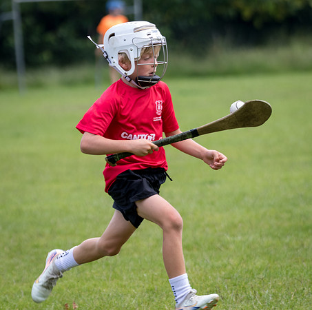 378-20250621-Cuala-MAI-©-2025-John-Coveney