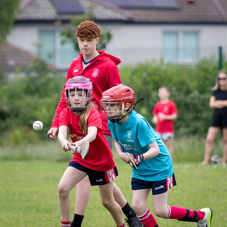 408-20250621-Cuala-MAI-©-2025-John-Coveney