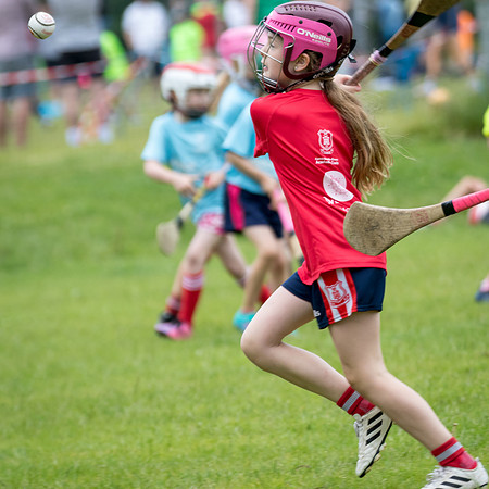 437-20250621-Cuala-MAI-©-2025-John-Coveney