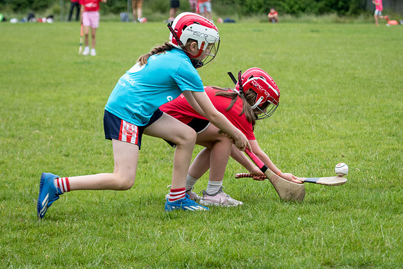 442-20250621-Cuala-MAI-©-2025-John-Coveney