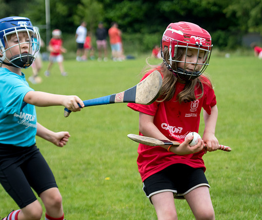 446-20250621-Cuala-MAI-©-2025-John-Coveney
