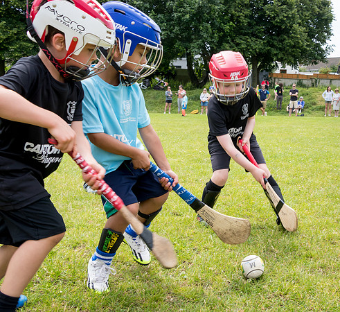 593-20250621-Cuala-MAI-©-2025-John-Coveney