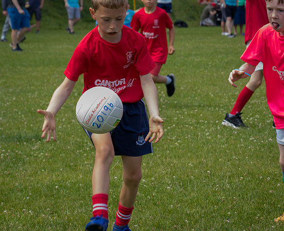 220-20250621-Cuala-MAI-©-2025-John-Coveney
