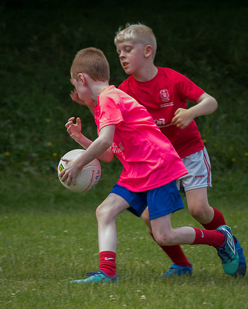 224-20250621-Cuala-MAI-©-2025-John-Coveney