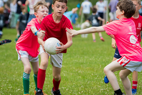 228-20250621-Cuala-MAI-©-2025-John-Coveney