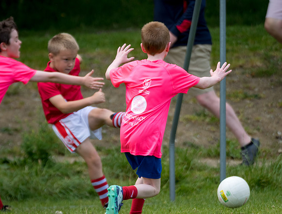 230-20250621-Cuala-MAI-©-2025-John-Coveney