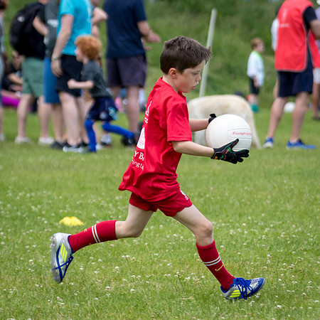 233-20250621-Cuala-MAI-©-2025-John-Coveney