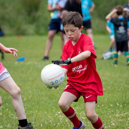 234-20250621-Cuala-MAI-©-2025-John-Coveney