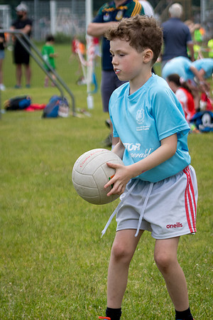 237-20250621-Cuala-MAI-©-2025-John-Coveney