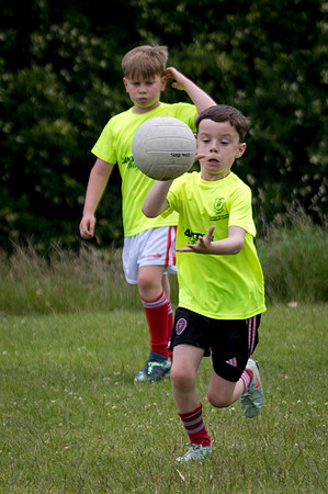 249-20250621-Cuala-MAI-©-2025-John-Coveney