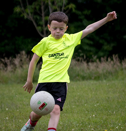 251-20250621-Cuala-MAI-©-2025-John-Coveney