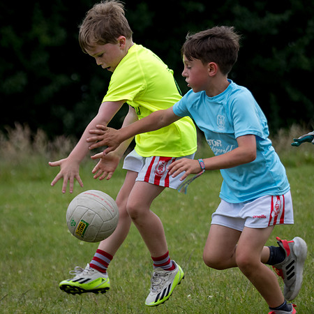 258-20250621-Cuala-MAI-©-2025-John-Coveney