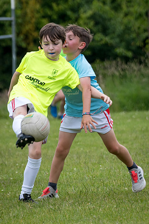 268-20250621-Cuala-MAI-©-2025-John-Coveney