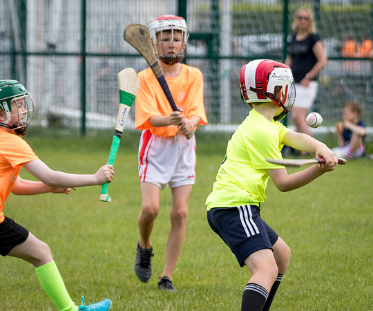 305-20250621-Cuala-MAI-©-2025-John-Coveney