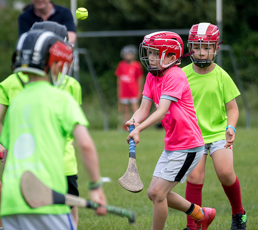 308-20250621-Cuala-MAI-©-2025-John-Coveney