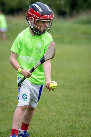 313-20250621-Cuala-MAI-©-2025-John-Coveney