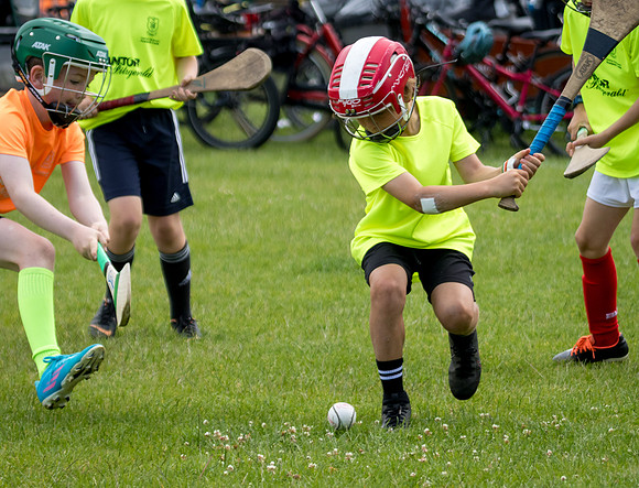 316-20250621-Cuala-MAI-©-2025-John-Coveney
