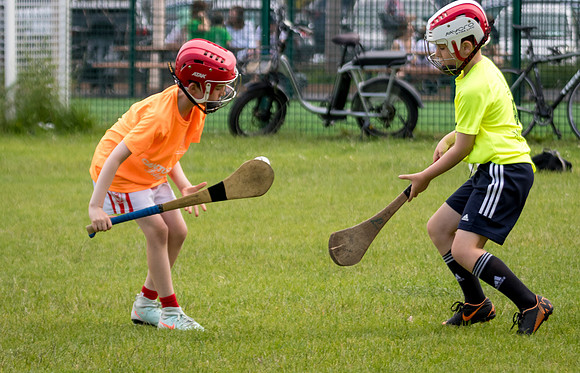 317-20250621-Cuala-MAI-©-2025-John-Coveney