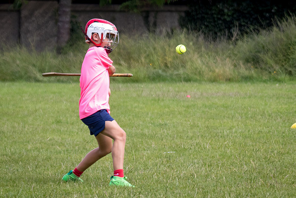 330-20250621-Cuala-MAI-©-2025-John-Coveney