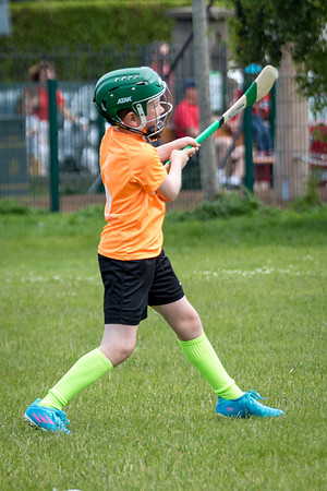 336-20250621-Cuala-MAI-©-2025-John-Coveney