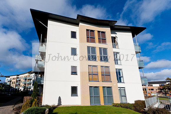 Shankill-Co.Dublin 01/11/2012-12