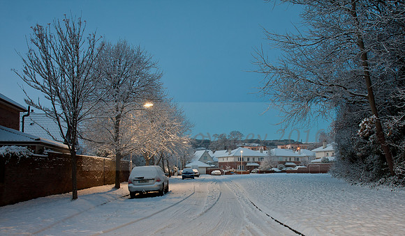 29 Shankill Series JCoveney