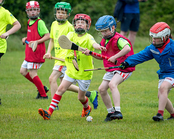 373-20230617-Cuala-MAI-players-©-2022-John-Coveney