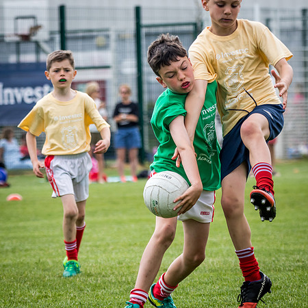 202-Cuala-MAI17-©-2017-John-Coveney