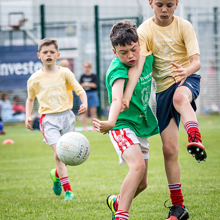 203-Cuala-MAI17-©-2017-John-Coveney