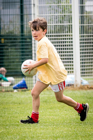 221-Cuala-MAI17-©-2017-John-Coveney