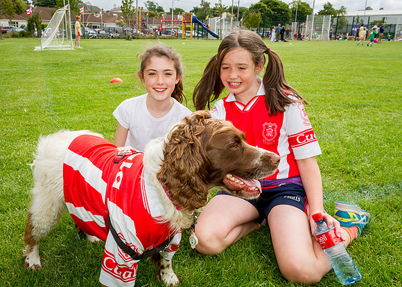 414-Cuala-MAI17-©-2017-John-Coveney