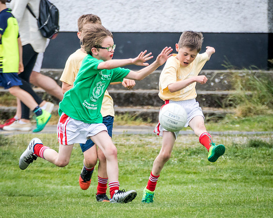 230-Cuala-MAI17-©-2017-John-Coveney