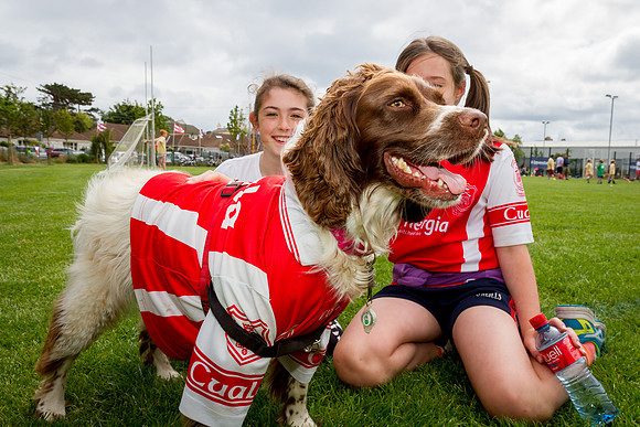 415-Cuala-MAI17-©-2017-John-Coveney