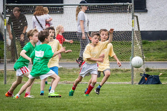 238-Cuala-MAI17-©-2017-John-Coveney