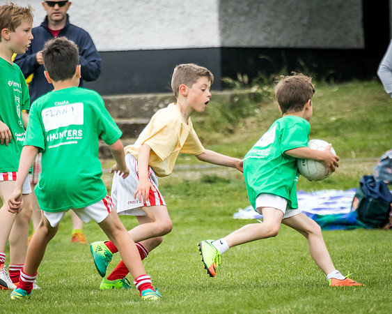 239-Cuala-MAI17-©-2017-John-Coveney