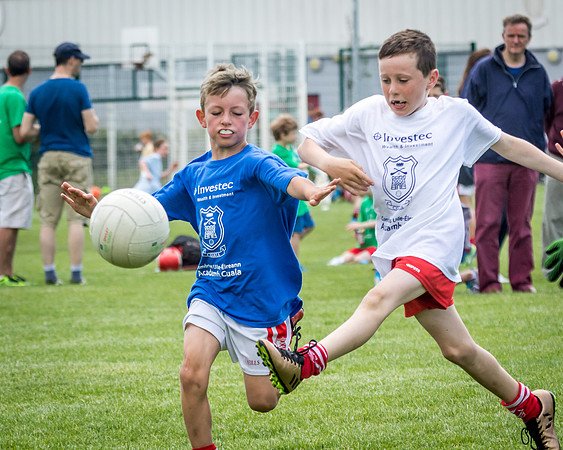 326-Cuala-MAI17-©-2017-John-Coveney