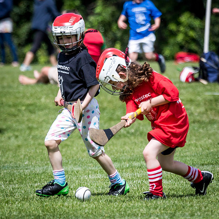 352-Cuala-MAI17-©-2017-John-Coveney