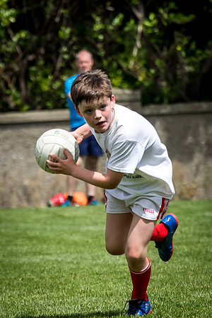 358-Cuala-MAI17-©-2017-John-Coveney