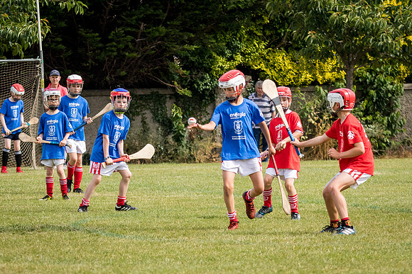 165-Cuala-Mini-all-Ireland-©-2018-John-Coveney