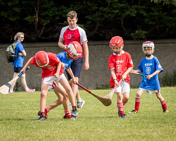 166-Cuala-Mini-all-Ireland-©-2018-John-Coveney