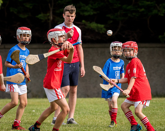 168-Cuala-Mini-all-Ireland-©-2018-John-Coveney