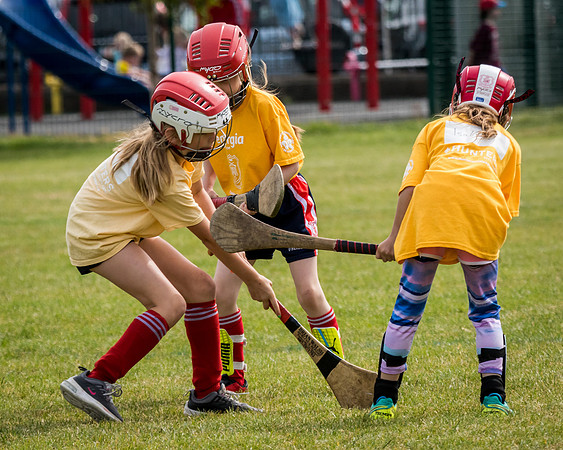 183-Cuala-Mini-all-Ireland-©-2018-John-Coveney