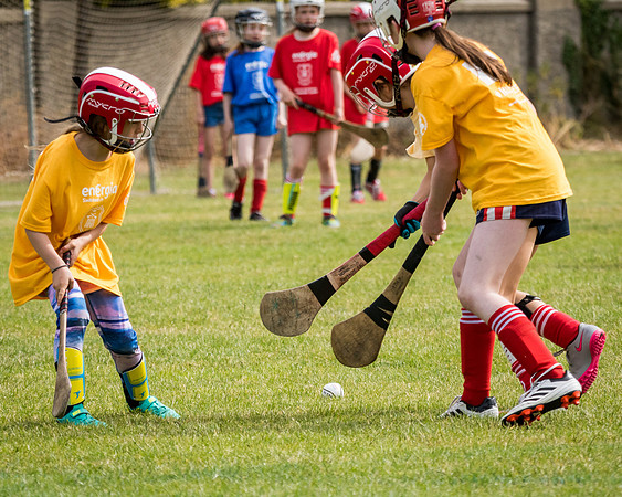 185-Cuala-Mini-all-Ireland-©-2018-John-Coveney