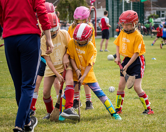 187-Cuala-Mini-all-Ireland-©-2018-John-Coveney